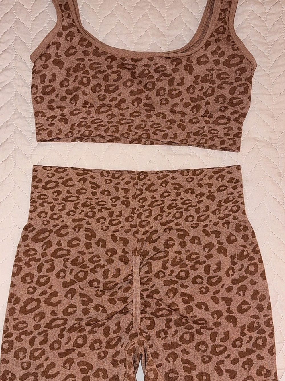 Leopard Print Seamless Active Crop & Bike Short Set - Picture 6 of 10